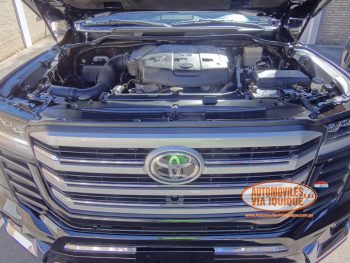 TOYOTA LAND CRUISER AÑO 2010 FRENTE 2024